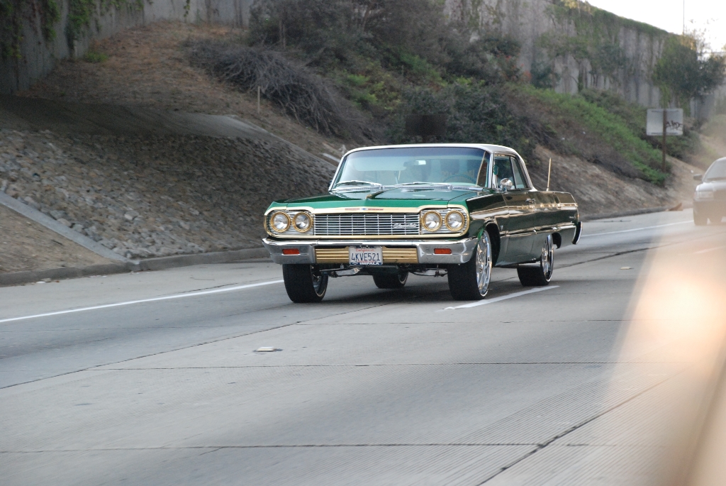 DSC_0646.JPG